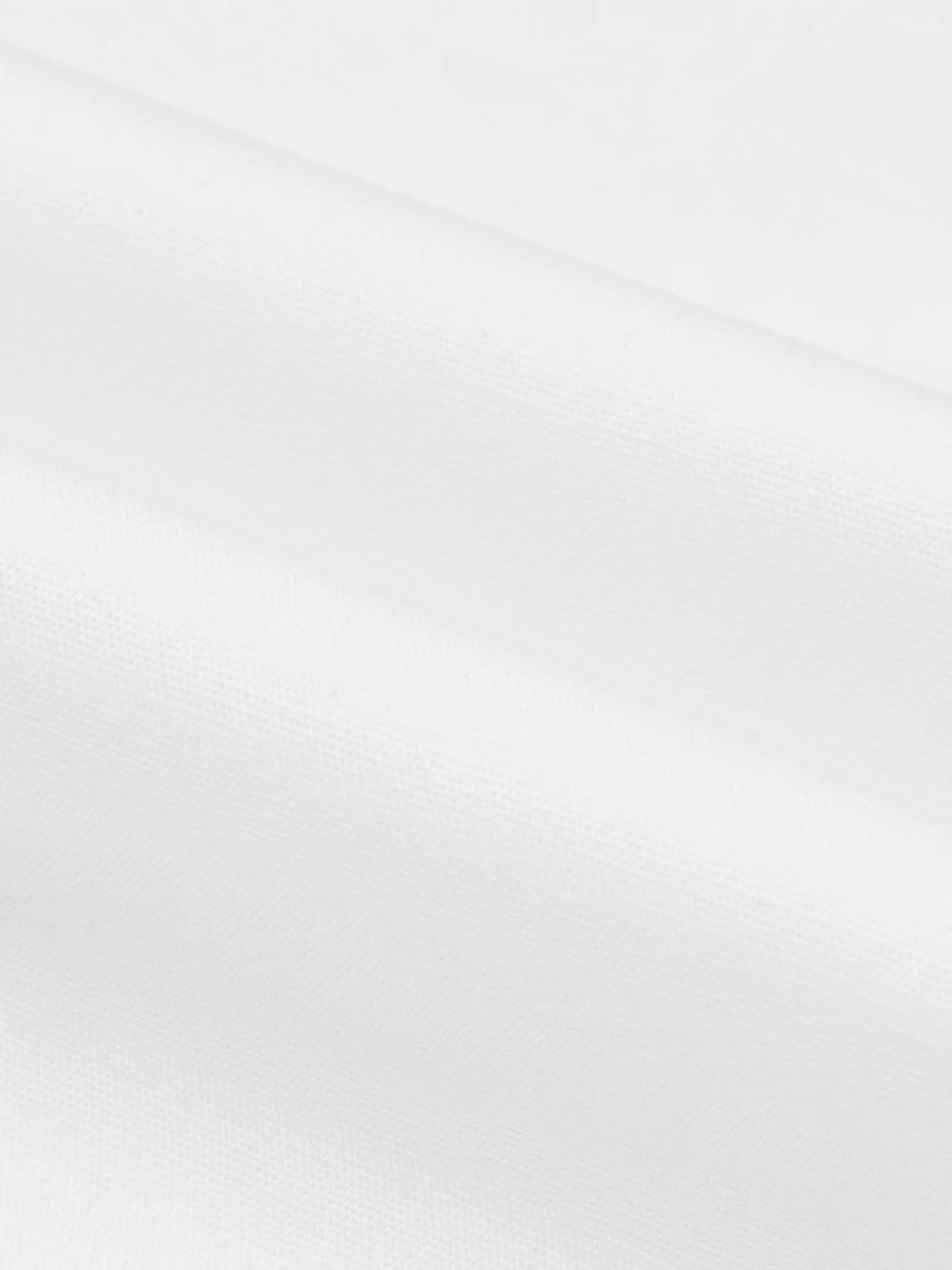 Long sleeve Elegant Regular Fit Shirt Collar White Blouse | stylewe