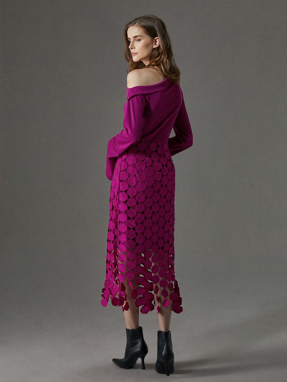 Daily Long Sleeve Elegant Lace Plain Dress