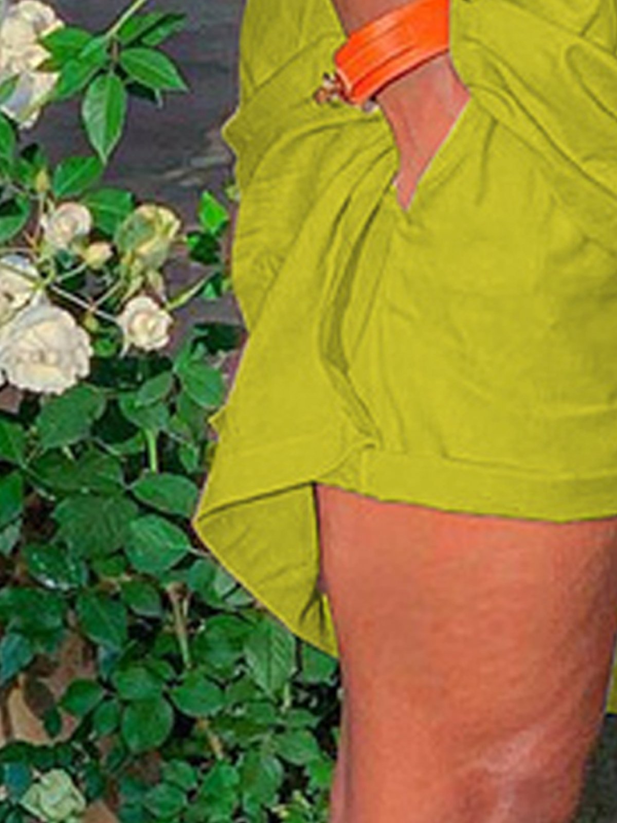 Casual Regular Fit Linen Shorts