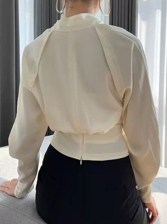Plain V Neck Regular Fit Elegant Blouse