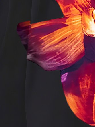 Elegant Printing Floral Midi Skirt