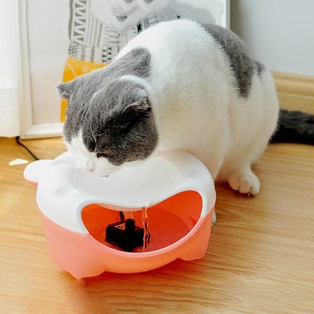 Pet Dog Cat Water Fountain Healthy Phicico