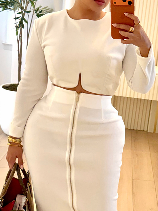 Elegant Plain Crew Neck Long Sleeve Blouse