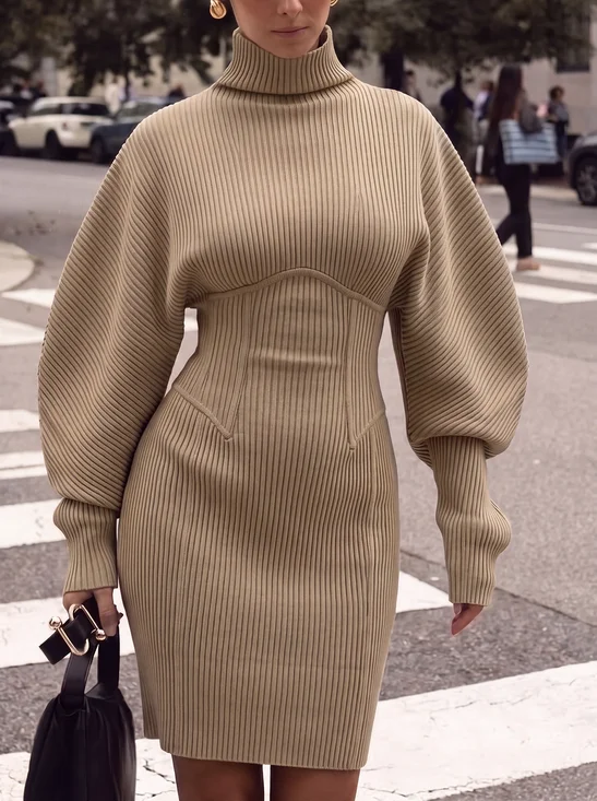 Urban Plain Turtleneck Sweater Mini Dress