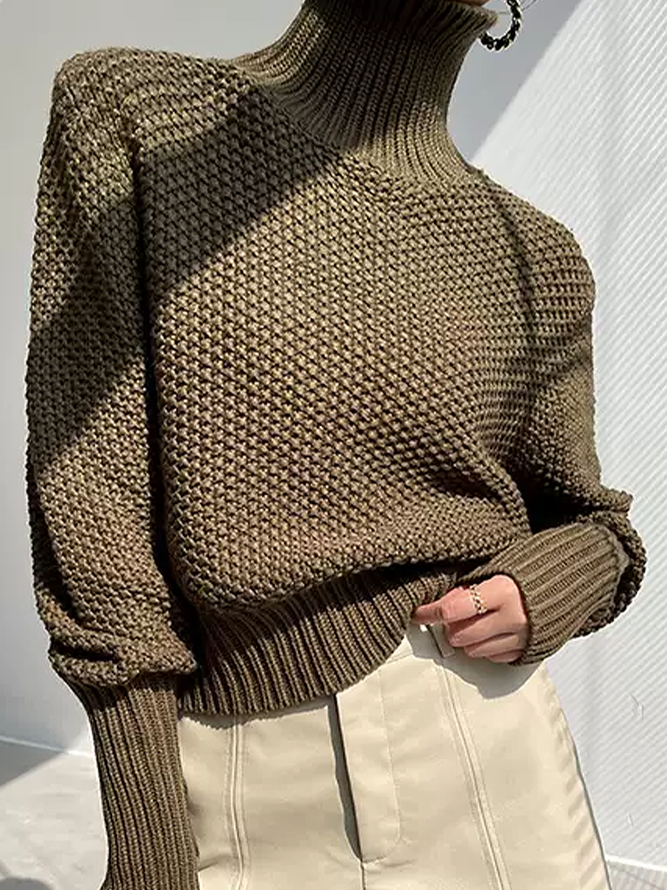 Elegant Turtleneck Plain Sweater