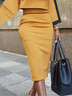 Regular Fit Elegant Color Block Midi Skirt